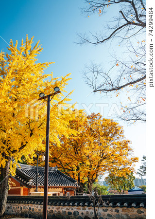 Yeongnamnu Korean traditional pavilion at autumn in Miryang, Korea 74299484