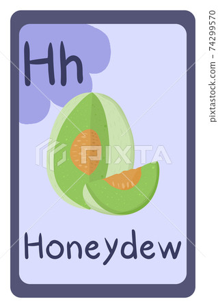 Abc food education flash card, Letter H - honeydew melon. 74299570