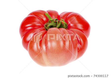Big pink beef tomato isolated on white background. Big pink beef tomato isolated on white background. 74300117