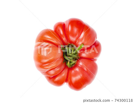 Big pink beef tomato isolated on white background. Big pink beef tomato isolated on white background. 74300118
