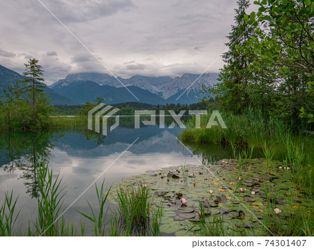 Small lake in the Alps with water lilies in bloom 74301407