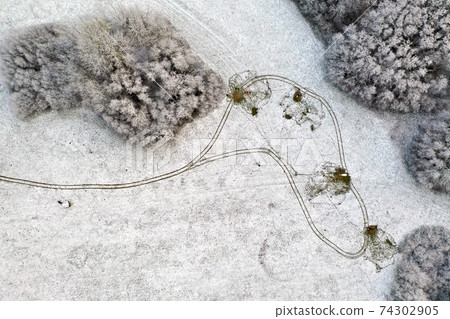 aerial view four cows on snowy field aerial view four cows on snowy field 74302905
