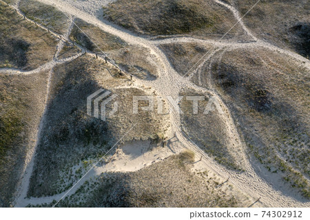 Old dunes in Curonian spit national park 74302912