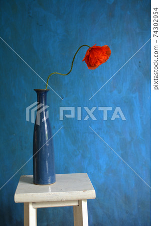 Red poppy in blue vase on white table 74302954
