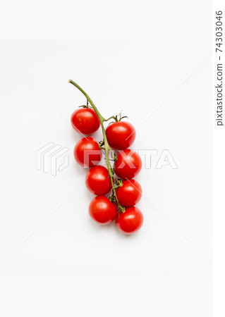 Branch of fresh cherry tomatoes on a white background Branch of fresh cherry tomatoes on a white background 74303046