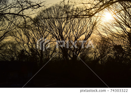 從群馬山頂看到的陽光 74303322