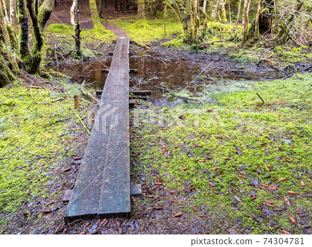 The beautiful landscape of Bonny Glen by Frosses in County Donegal - Ireland The beautiful landscape of Bonny Glen by Frosses in County Donegal - Ireland 74304781
