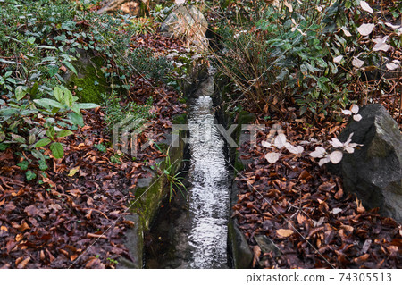 artificial watercourse gutter in a stone bed in a park 74305513