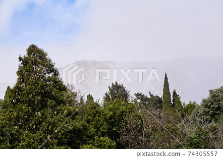 mountain range in the fog is barely visible behind the trees mountain range in the fog is barely visible behind the trees 74305557