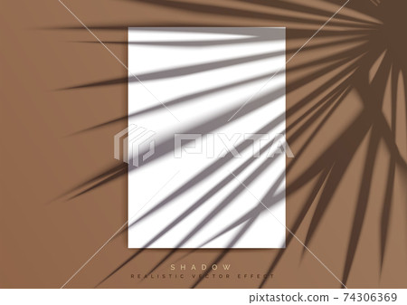 A4 paper Mockup. A transparent Shadow of palm leaf 74306369