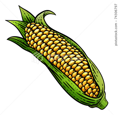 Corn Vegetable Vintage Woodcut Illustration Corn Vegetable Vintage Woodcut Illustration 74306797