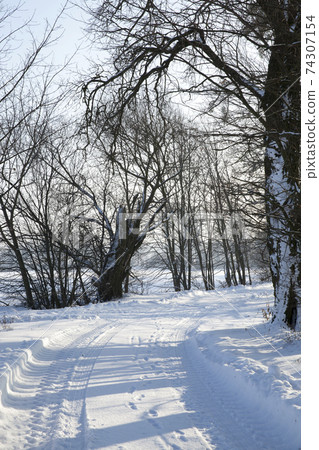 road in the winter season road in the winter season 74307154