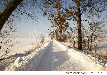 road in the winter season 74307156