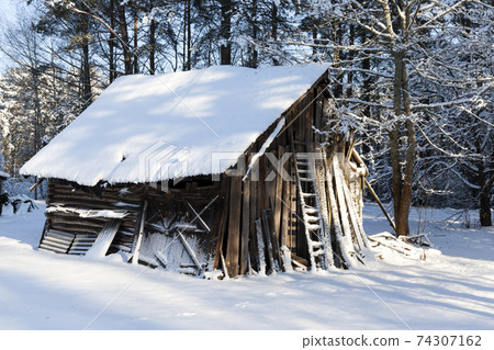 old wooden barn in the forest in winter old wooden barn in the forest in winter 74307162