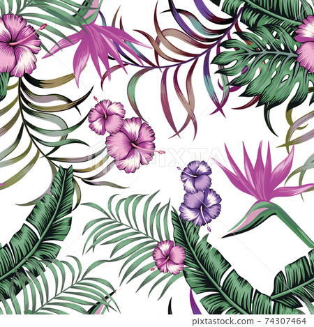 Tropical exotic seamless composittion white background 74307464