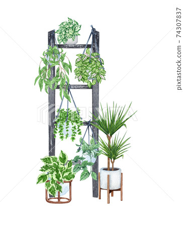 hanging macrame plant 4-Pack Macrame Plant Hanger