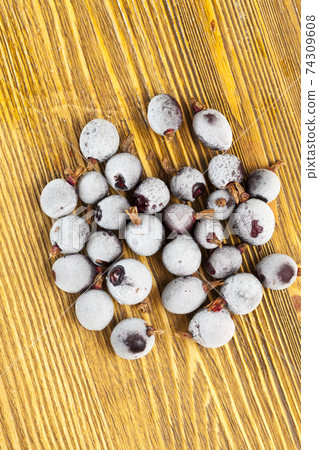 frozen black currant close up 74309608