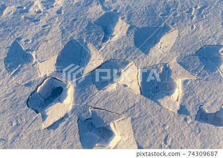 footprints and dents in the snow 74309687