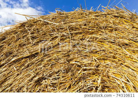 an agricultural field 74310611