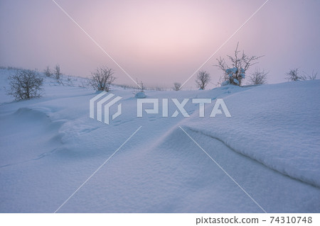 Winter landscape with fog. Warm cold sunrise landscape Winter landscape with fog. Warm cold sunrise landscape 74310748