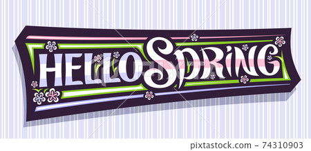 Vector banner Hello Spring 74310903