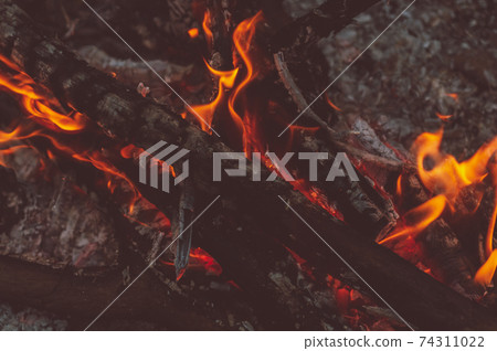 Small flame dying fire, bright red-orange flame. Cozy warm atmosphere by outdoors campfire recreation, burning wood. Small flame dying fire, bright red-orange flame. Cozy warm atmosphere by outdoors campfire recreation, burning wood. 74311022