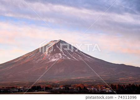 Red Fuji close-up in the early morning Red Fuji close-up in the early morning 74311096