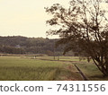 Idyllic countryside nature 74311556