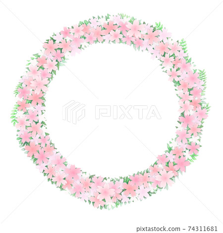 Pink cherry blossom frame in full bloom 74311681
