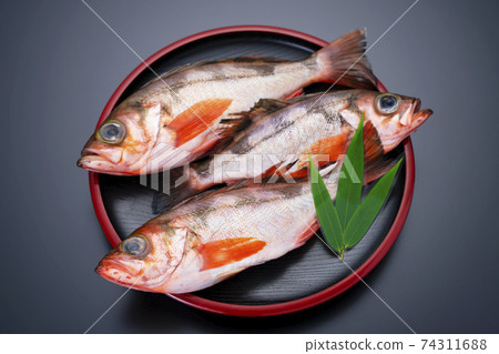 3熟的柳木美原 3熟的柳木美原 74311688