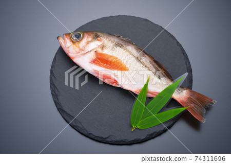 1道熟的柳木美bar 74311696