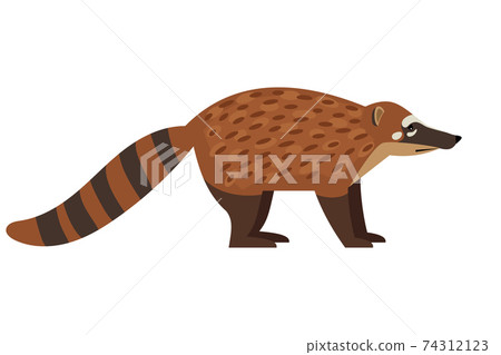 Tailed exotic coati animal Tailed exotic coati animal 74312123