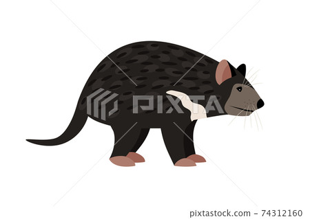 Cartoon tasmanian devil Cartoon tasmanian devil 74312160