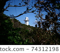 Lighthouse peeking through the gaps in the trees 74312198