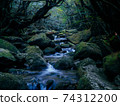 Yakushima River 74312200