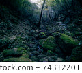 Scenery of Yakushima 74312201