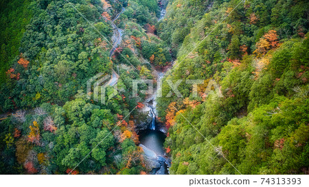 奈良縣鳥川村Kiyono Falls秋葉的無人機鳥瞰圖！ 74313393