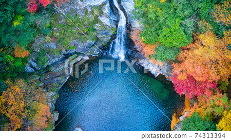 奈良縣鳥川村Kiyono Falls盆地周圍的秋葉無人機鳥瞰圖！ 74313394