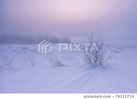 Winter landscape with fog. Warm cold sunrise landscape Winter landscape with fog. Warm cold sunrise landscape 74313719