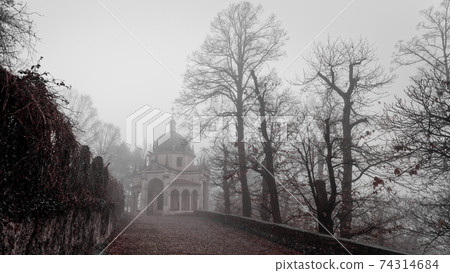 Foggy winter morning on the mountain path Foggy winter morning on the mountain path 74314684