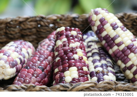 Mochi corn Mochi corn 74315001