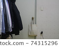 Unorganized clothes hanging on hangers 74315296
