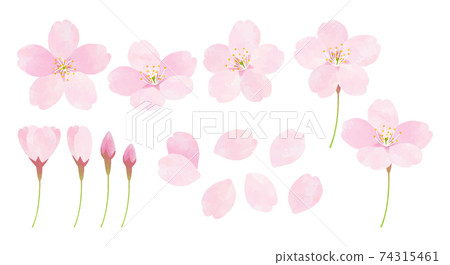 Sakura Sakura Somei Yoshino [零件] 74315461