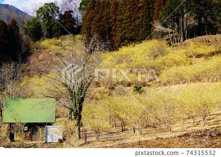 神奈川縣松田町Yadoriki Robai花園 74315532