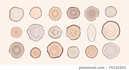 Wooden rings collection. Tree stylized rings natural textural surfaces on round lumbers garish vector abstract flat illustrations 74316303