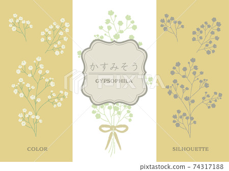 Illustration of gypsophila Illustration of gypsophila 74317188