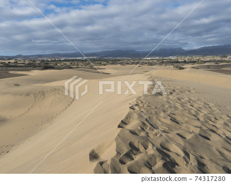 View of the Natural Reserve of Dunes of Maspalomas, golden sand dunes, blue sky. Gran Canaria, Canary Islands, Spain View of the Natural Reserve of Dunes of Maspalomas, golden sand dunes, blue sky. Gran Canaria, Canary Islands, Spain 74317280