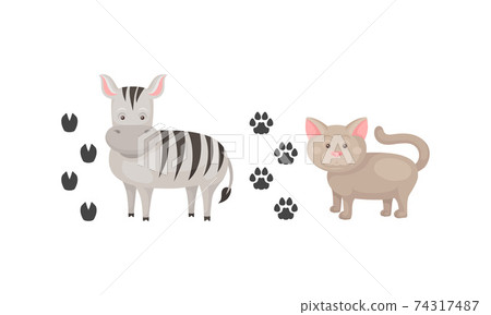 Wild and Domestic Animal with Cat and Zebra and Their Footprints Vector Set 74317487