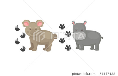Wild Animal with Hippo and Koala and Their Footprints Vector Set Wild Animal with Hippo and Koala and Their Footprints Vector Set 74317488