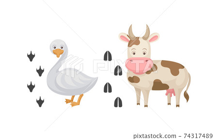 Domestic Animal with Cow and Goose and Their Footprints Vector Set Domestic Animal with Cow and Goose and Their Footprints Vector Set 74317489